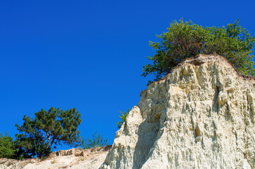 growing tree on top of a cliff, summer