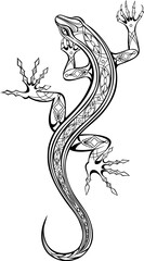 Obraz premium White Lizard