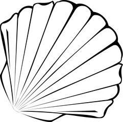 Third Silhouette of Seashell