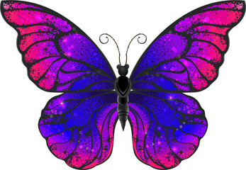 Tricolored Butterfly