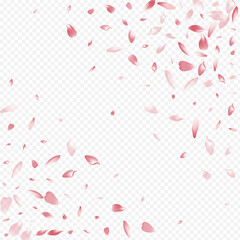 Purple Sakura Vector Transparent Background.