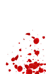 Delicate Floral Beauty Vector White Background.