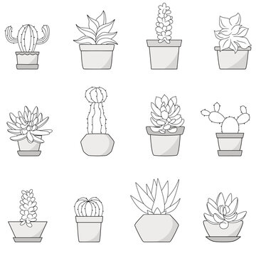 Big set of elements with hand drawn cacti and succulents in pots