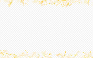 Light Blossom Fall Vector Transparent Background.