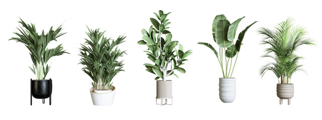 Plants in 3d rendering isolated. Beautiful plant in 3d rendering isolated 
