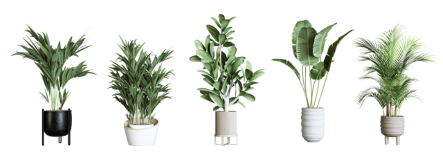 Plants in 3d rendering isolated. Beautiful plant in 3d rendering isolated 