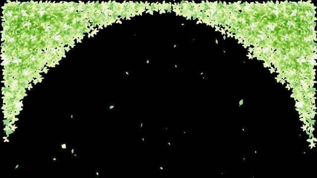 Fresh green leaves swaying in the wind. Looping video background. Arched type. falling leaves.