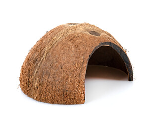 coconut shelter in studio