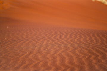 Wellen in der W&uuml;ste