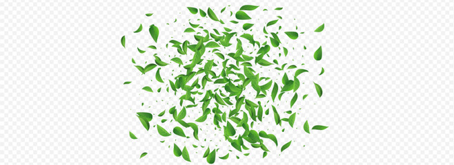 Mint Greens Spring Vector Panoramic Transparent