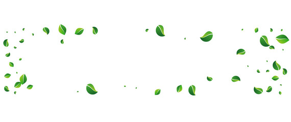 Swamp Leaf Forest Vector Panoramic White