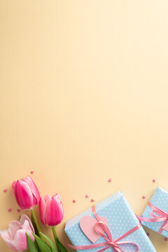 Mother's Day decorations concept. Top view vertical photo of bunch of pink tulips blue gift boxes with ribbon bows and heart shaped sprinkles on isolated pastel beige background with blank space