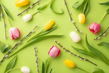 Women's Day decorations concept. Top view photo of fresh flowers colorful tulips and pussy-willow branches on isolated light green background