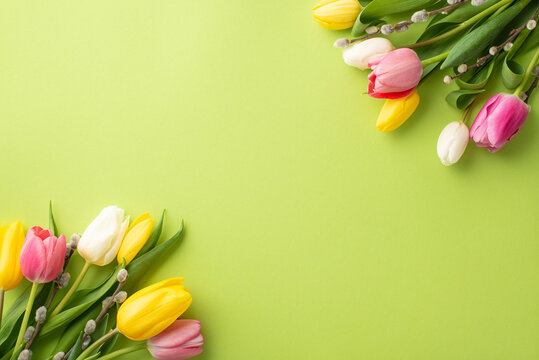 Women's Day atmosphere concept. Top view photo of bouquets of flowers yellow white pink tulips and pussy willow branches on isolated light green background with empty space