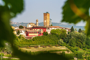 Fototapeta na wymiar Barbaresco - Piemonte