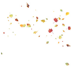 Leaves Falling Autumn Foliage Chaotic Leaf Flying