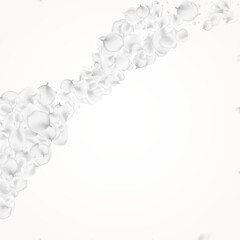 Delicate Flower Vector Light Background. Pastel