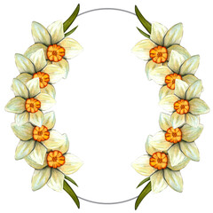 Watercolor frame easter with daffodil. Spring floral illustration isolated on transparent background.