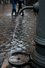 Roma Mercado de las Flores