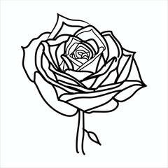  Illustration of a beautiful, lovely and cute Rose Color Books Line Artwork