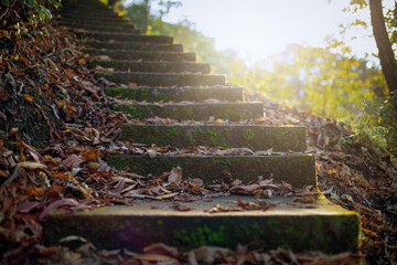 Old stairway in the autumn forest, covered with fallen leaves