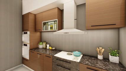 Fototapeta na wymiar Kitchen perspective interior in shades of brown and grey