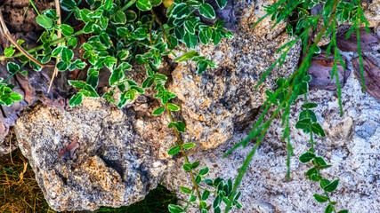 Garden decorations made of stones and stone sculptures among nice greens.