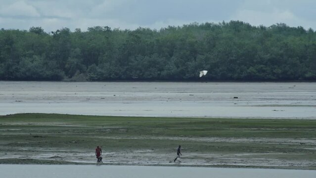 Two men and a child seen at the distance picking up shellfish in front of Buenaventura, Colombia