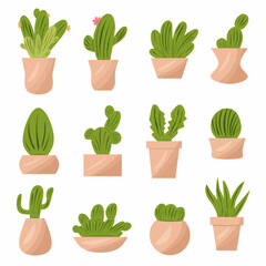 Fototapeta na wymiar Cactus set, green houseplant, ornament plant on white background. Cartoon style, vector set illustration. 