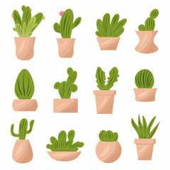 Cactus set, green houseplant, ornament plant on white background. Cartoon style, vector set illustration. 