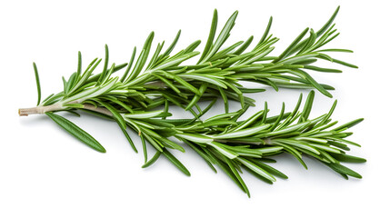 Fototapeta premium rosemary leaves. Fresh vegetables isolated on white background. Healthy food concept. Generative AI