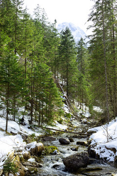 River in the Tatra mountain