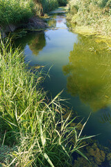 A stream flowing through the city. Vertical shot.