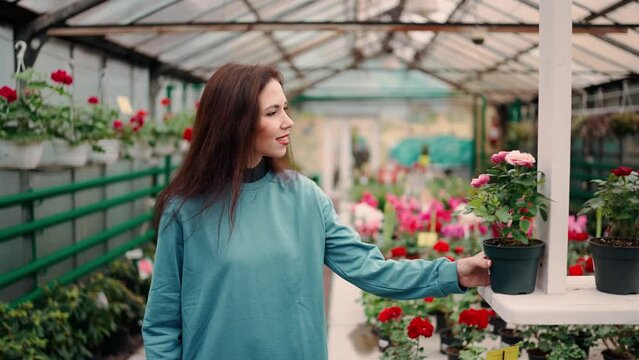 Young woman shopping for decorative plants, smell the pot with tiny roses