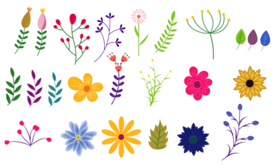 Foto op Plexiglas Beautiful romantic flower collection with flowers, leaves, floral bouquets, flower compositions © chutkupanda