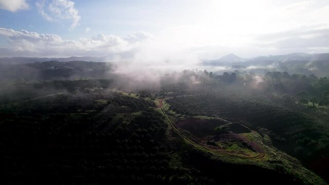 revealing shot of a cloudy orange grove in Penonome, Cocle province, Panama.