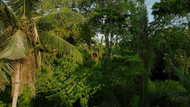 Tropical forest with traditional houses in jungle island Bali 