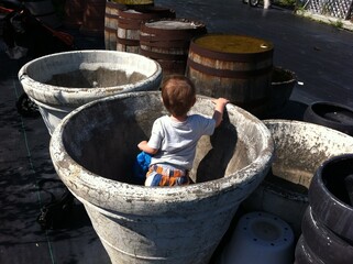 small child in a large pot