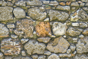 A stone wall made of ancient coral