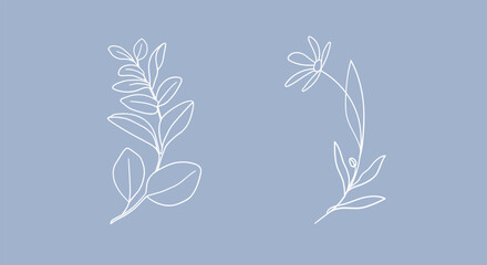 Eucalyptus Leaves and flower on blue background. Floral line art. Outline vector flowers. Wedding elegant continuous line drawing.