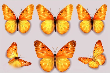 set of butterflies, butterfly, insect, nature, wing, fly, beauty, animal, wings,