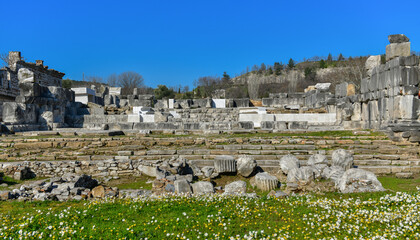 Fototapeta na wymiar Architectural Remains of Ancient Greek Period