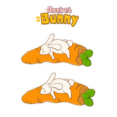 Rocket Bunny transparant