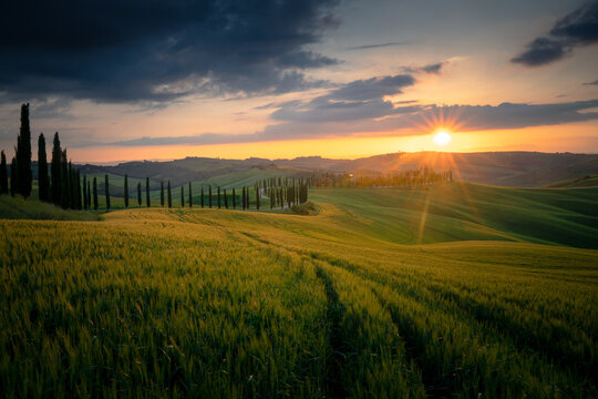 Unforgettable Tuscan Sunset: A Breathtaking View of the Rolling Hills at Dusk