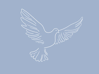 Flying dove in line-art style on a blue background. Animal Vector illustration