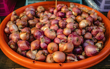Shallots are put in plastic baskets for sale at local fresh markets. Baan Naklua, Pattaya, Thailand