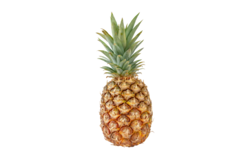 Pineapple tropical whole fruit isolated transparent png. Ripe Ananas comosus.