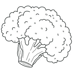broccoli, cauliflower, hand drawn coloring or stroke