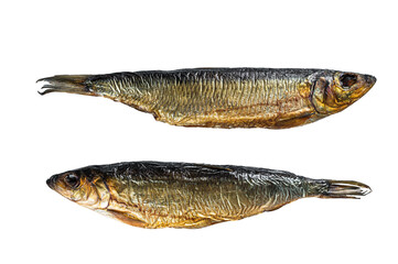 Hot smoked whole herrings on kitchen table.  Isolated, transparent background.