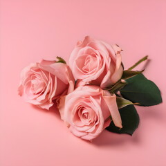 three pink roses on pink studio background, made with generative ai
